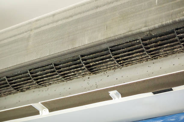 Best Affordable Air Duct Cleaning  in Judsonia, AR